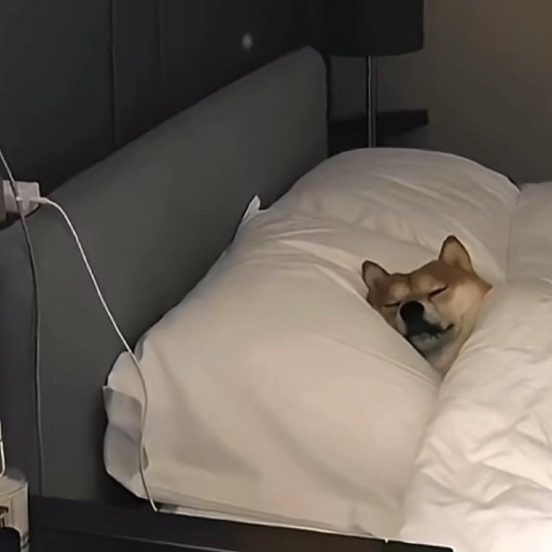 小天