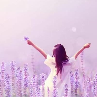 清风未醉