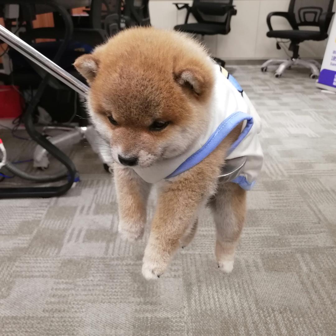 未央