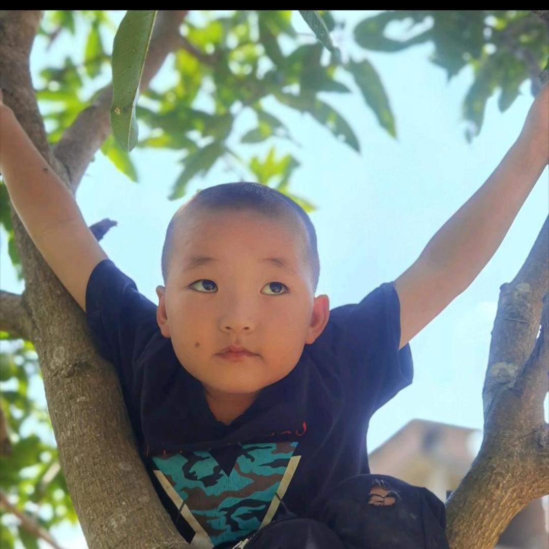 我爱说实话，铁铁