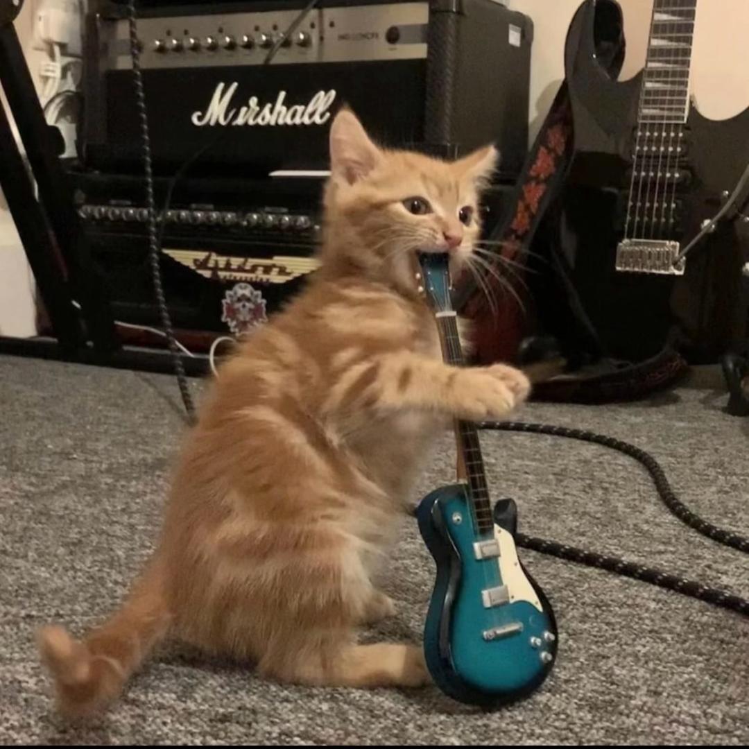 咋不能发库存了