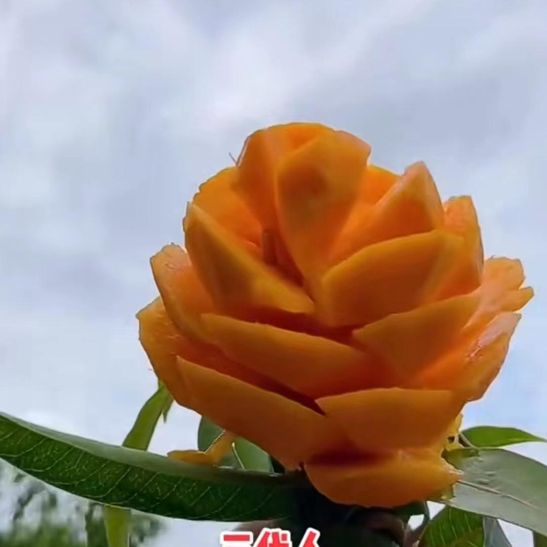 紫气东来688