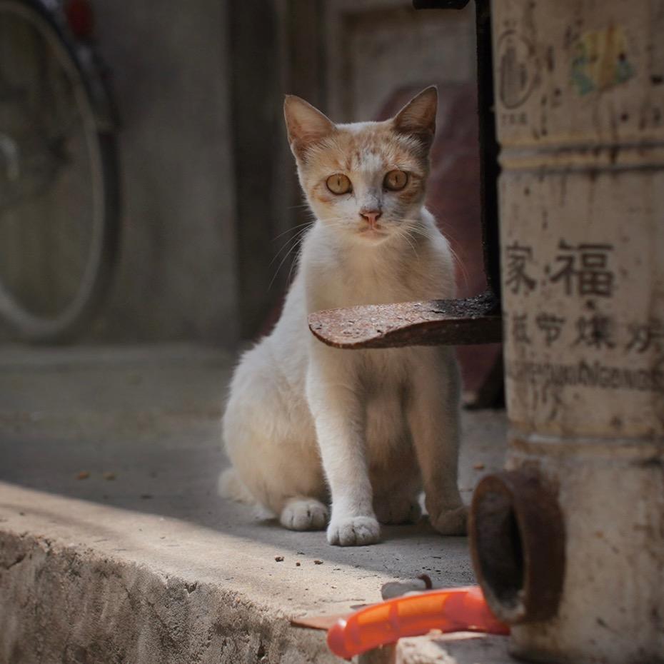 门前大橋下