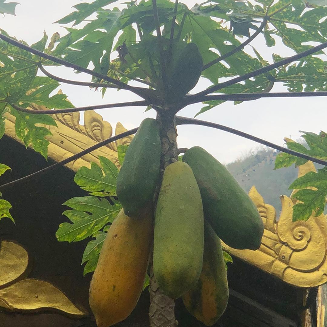 梦的追求（拒绝私聊）