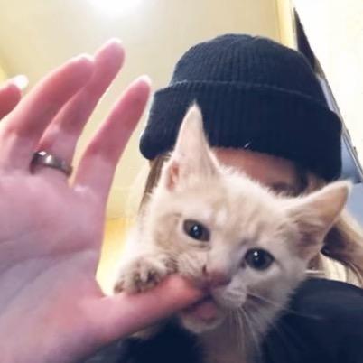 rui.