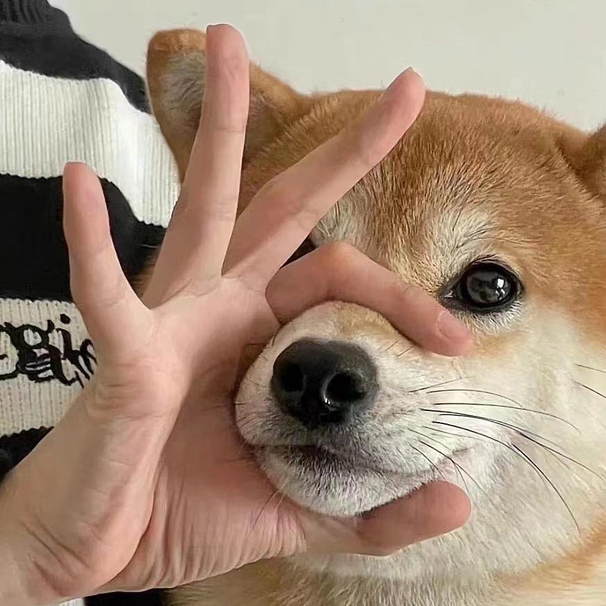 哆羊困了