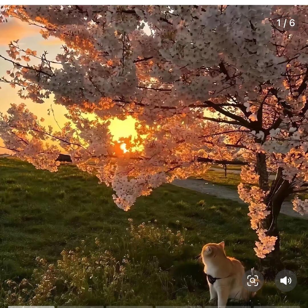 时光一去不回头