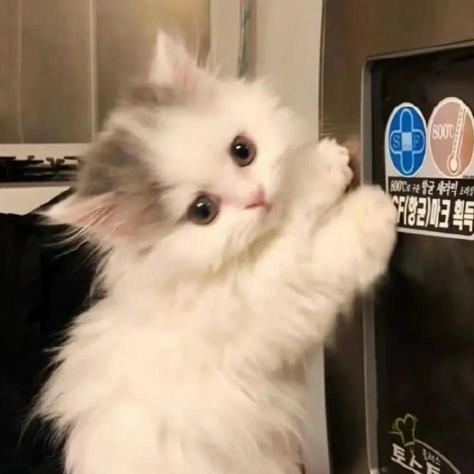 卉