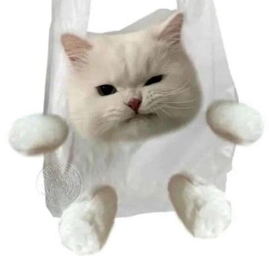 堂堂🐟
