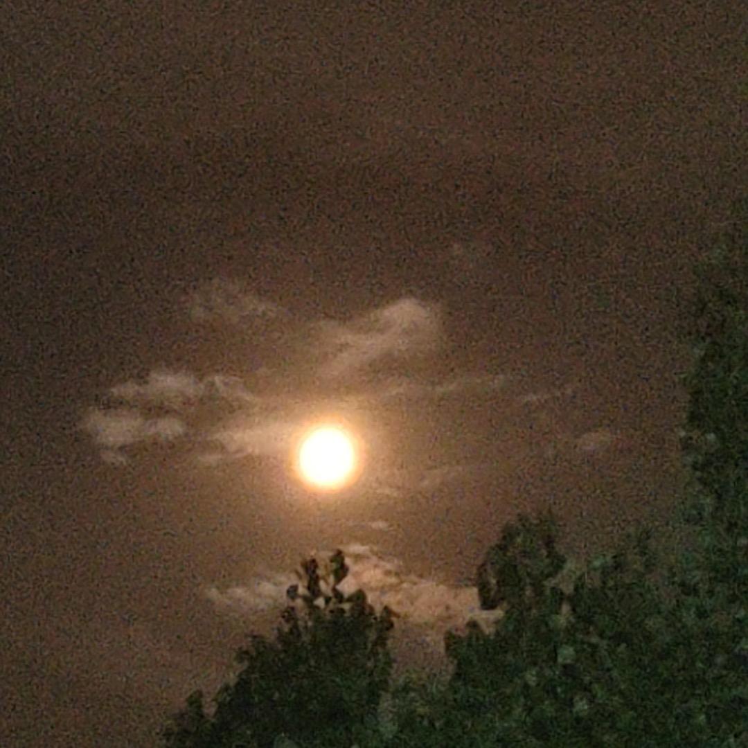 ໑ຼₒ₂₃ღ᭄段王爷🕊