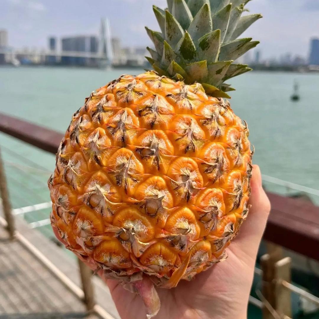 水果生鲜