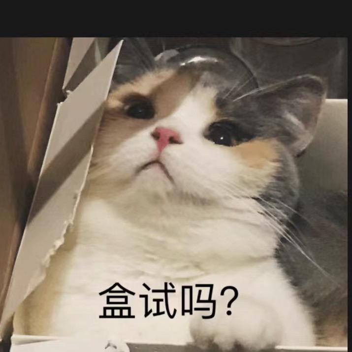 粽粽是只小花猪