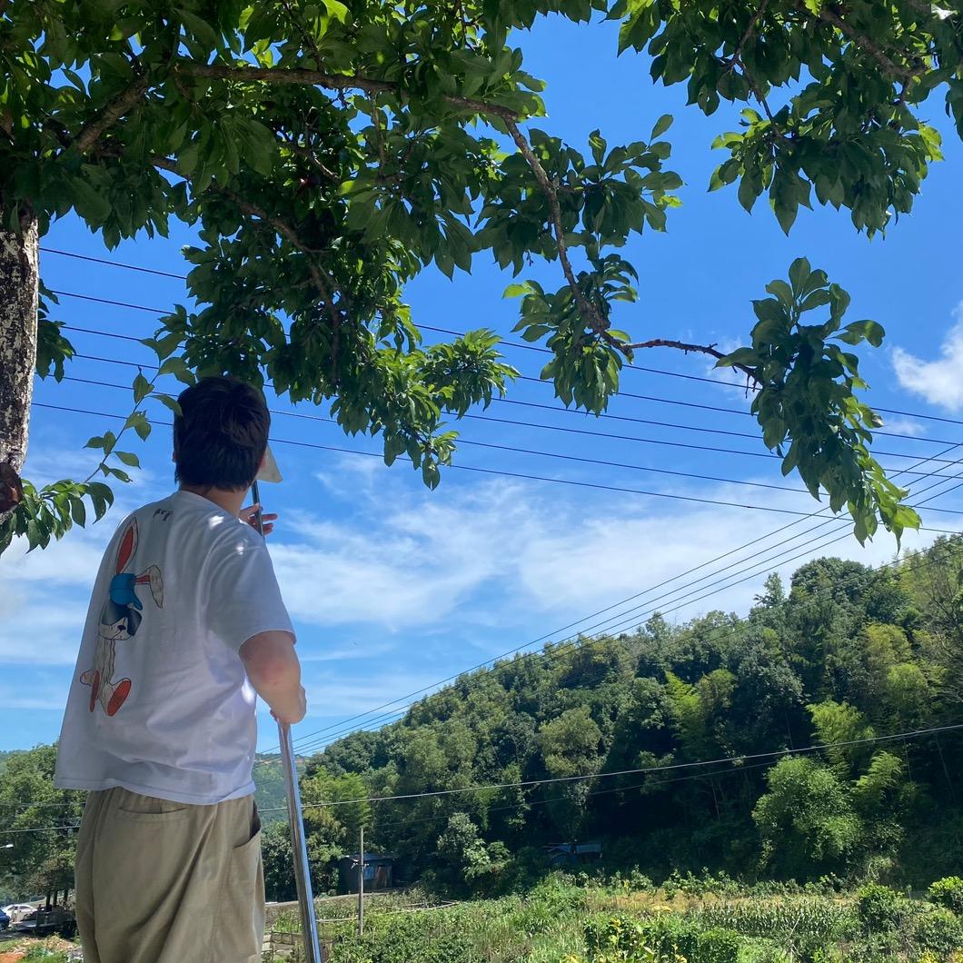 果粒陈陈