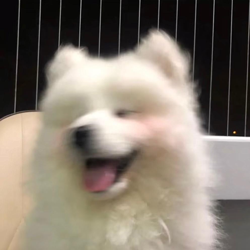 ＇
