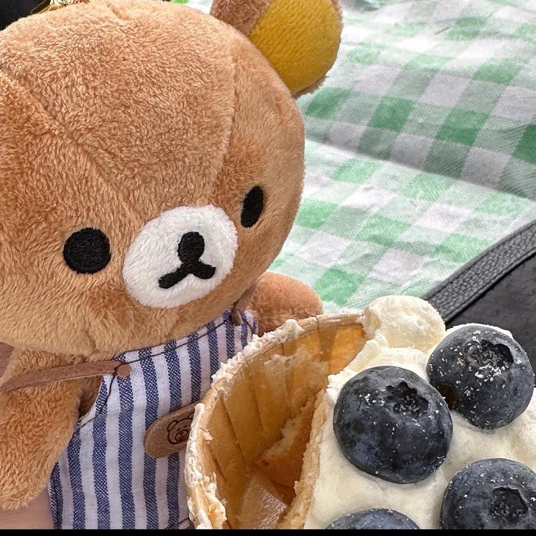 蓝莓🫐