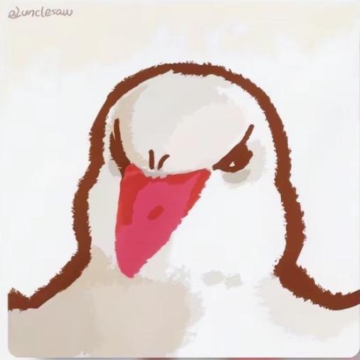 灰太狼_-