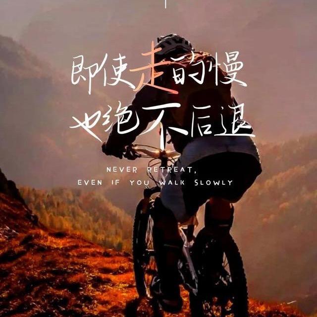 泽盛鑫焦煤