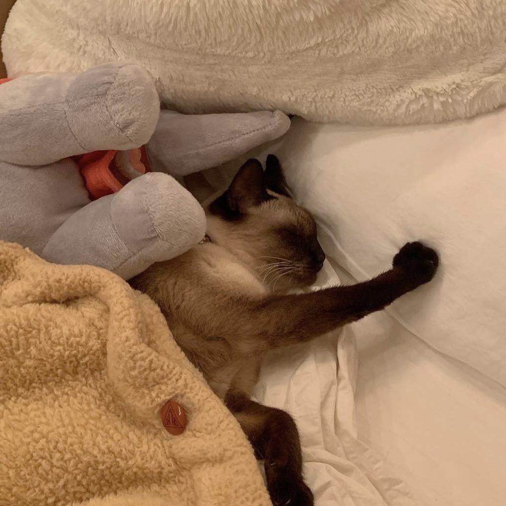 早睡还能多活两年