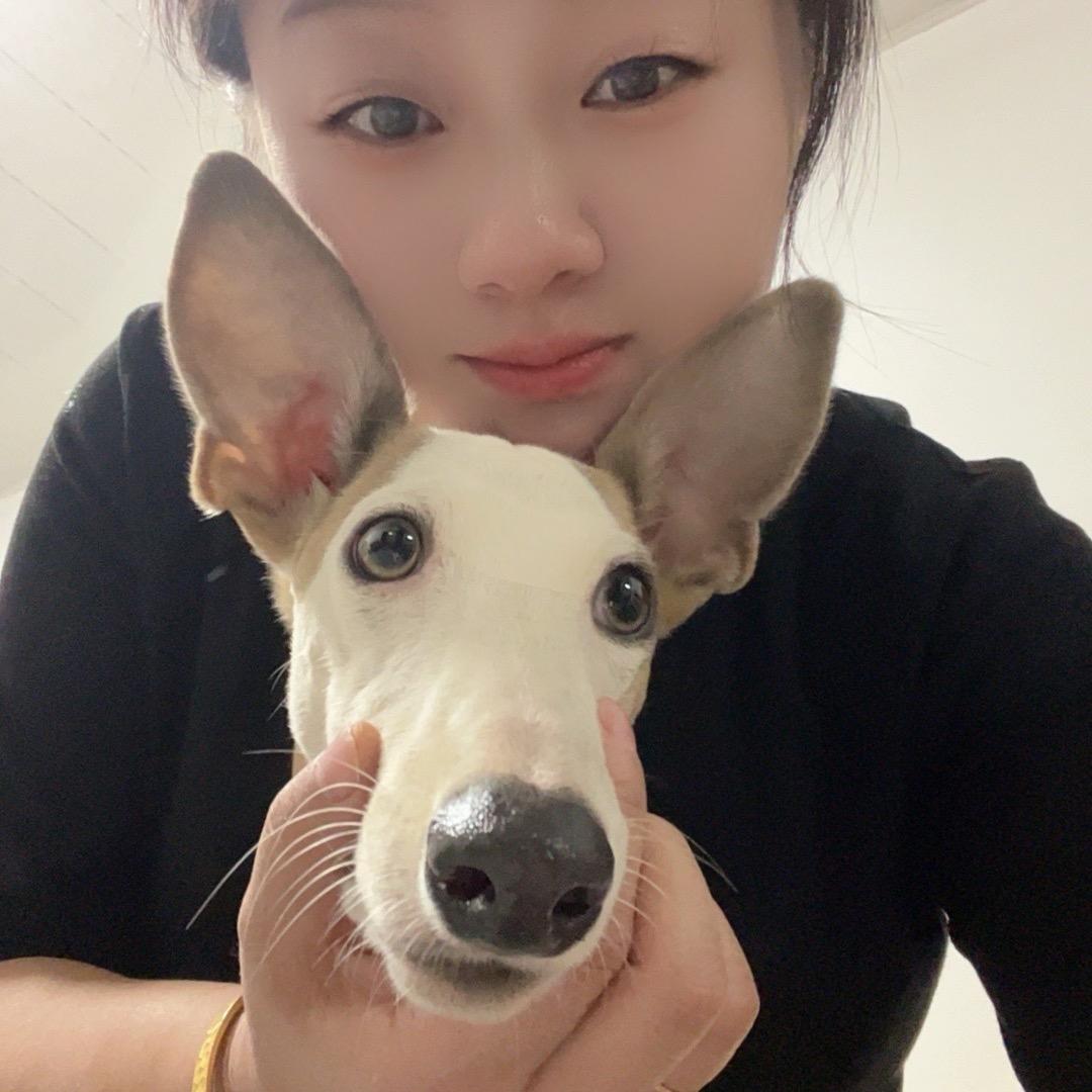 我在等一个人@