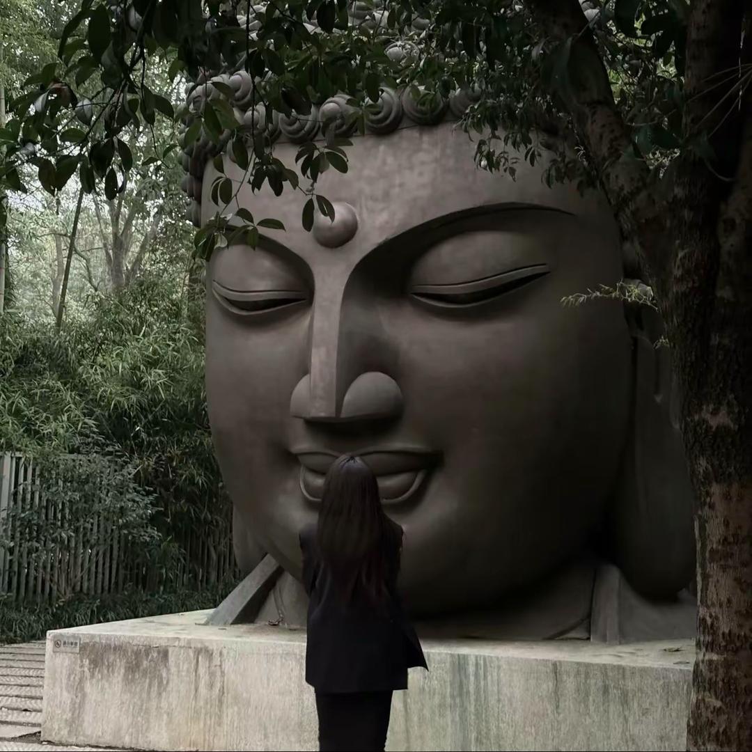 卖了房子环游世界🌍