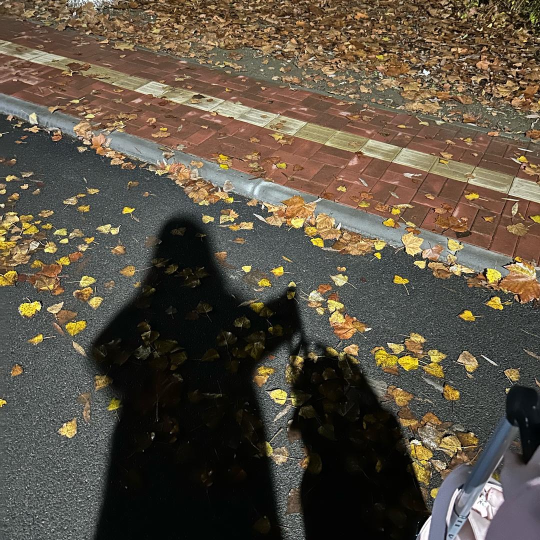 听风横跨过海（见过深深版）