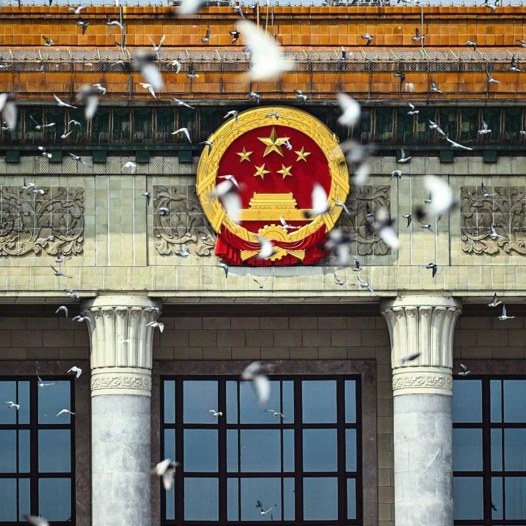 杜杜 独立清醒