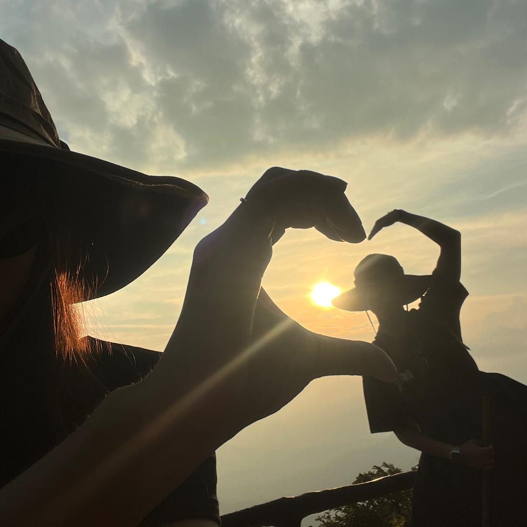 我是一只大笨猪