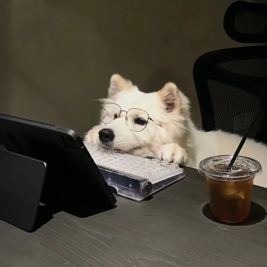 内向小柯～