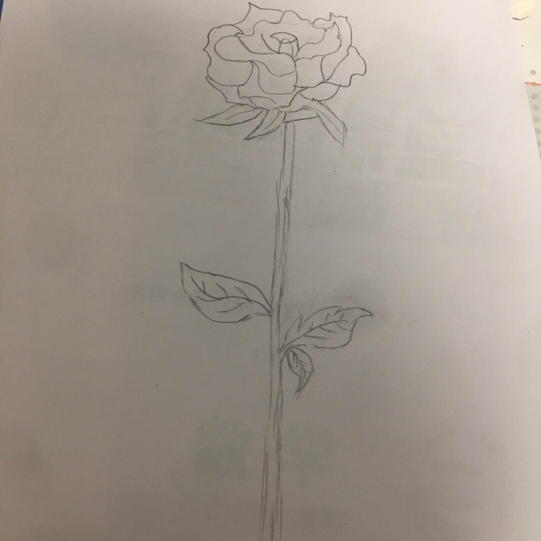 住在深海的大菠萝里