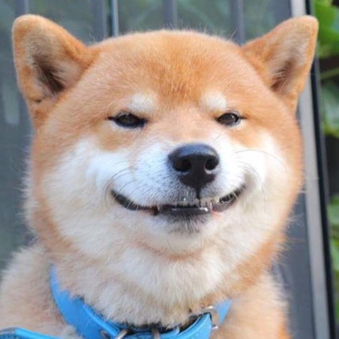 苏谊照明