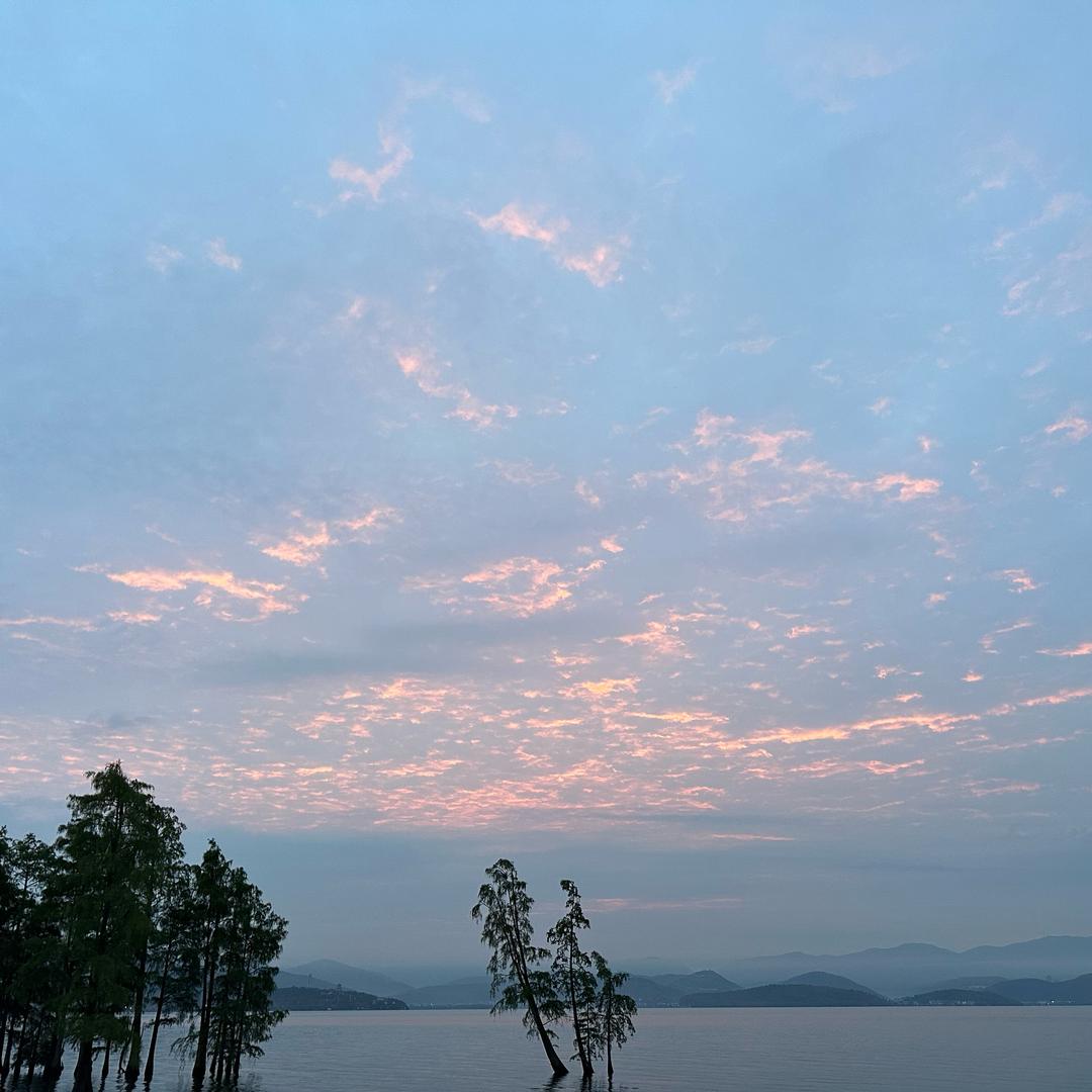 用户73315866442897644