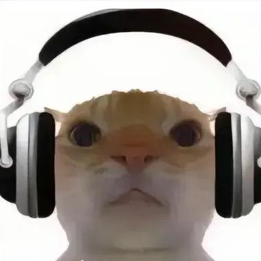 寻宝薯薯🐭（三角洲行动）