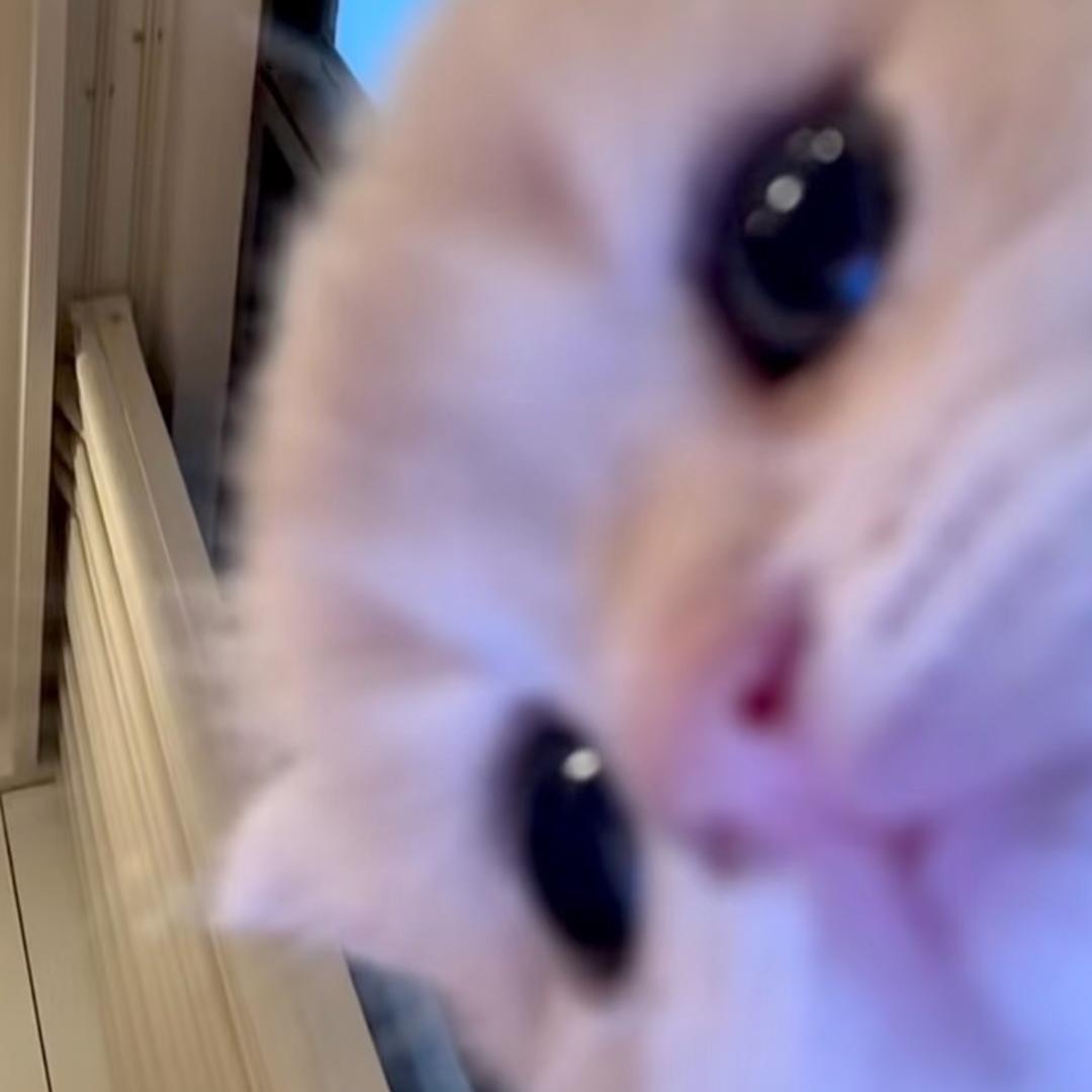 小珠
