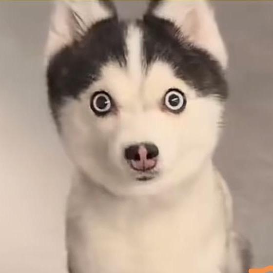 两三点