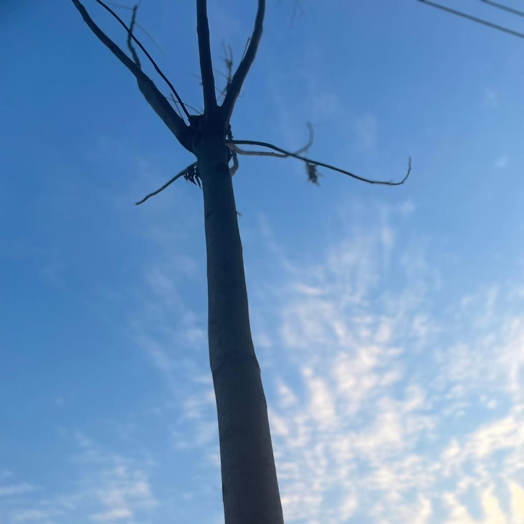 🐍🐍静丫头🐲🐲