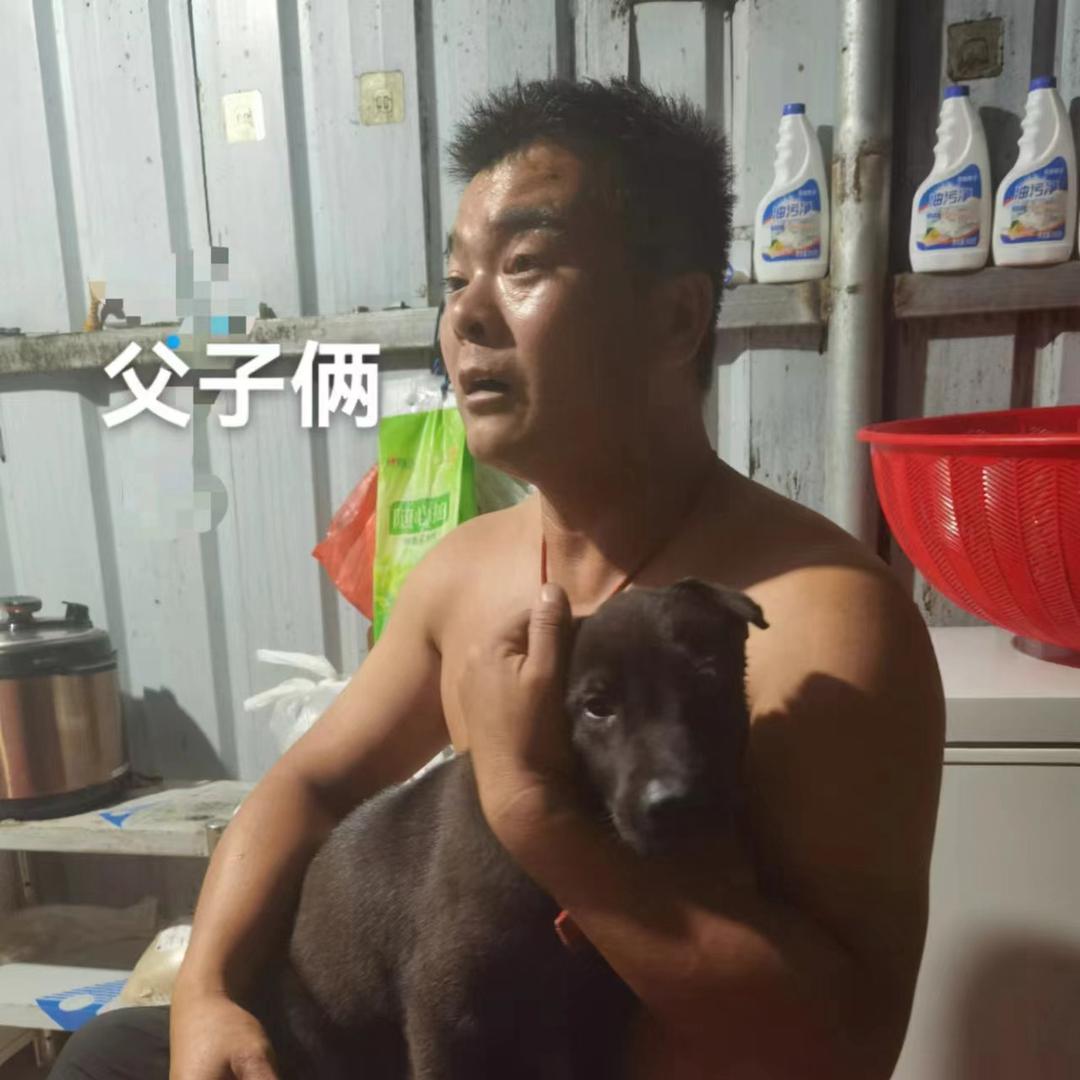 叁