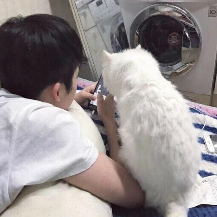 小林°