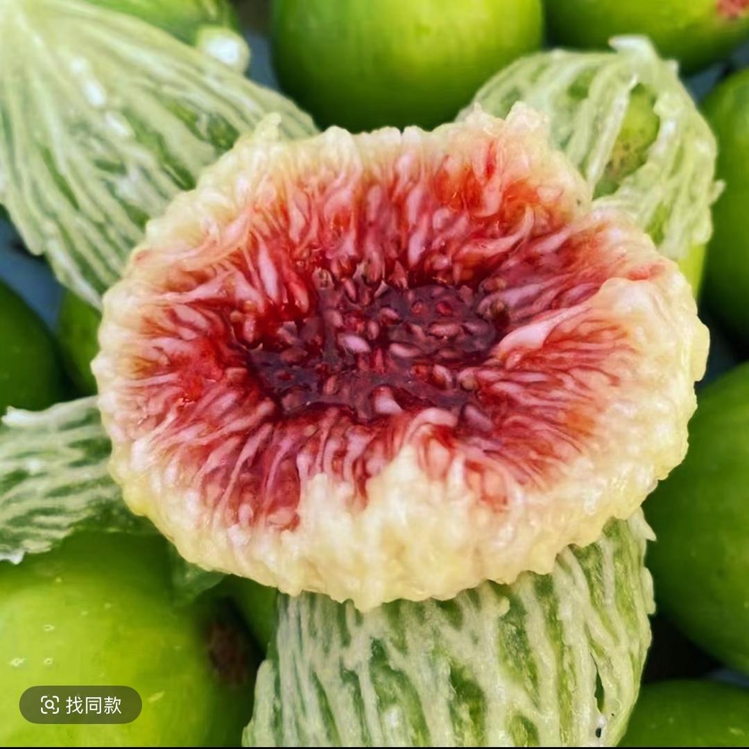 衣衣威海青皮无花果