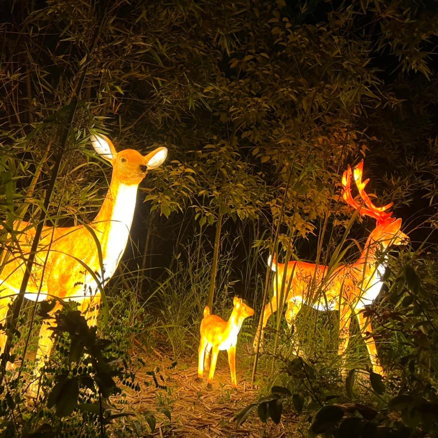 RippleStitch趴烹芮捷品专卖店