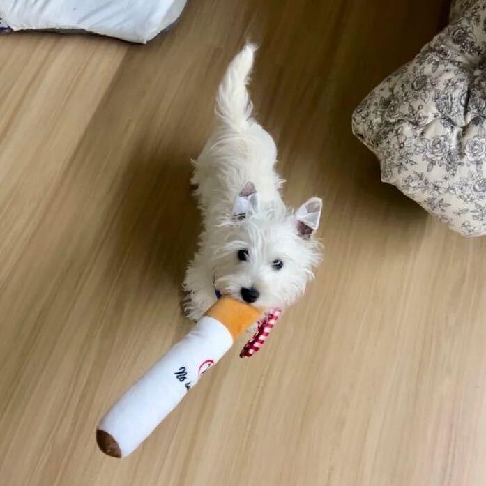 谢谢你保护我