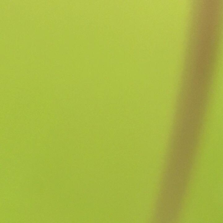 成功红红火火