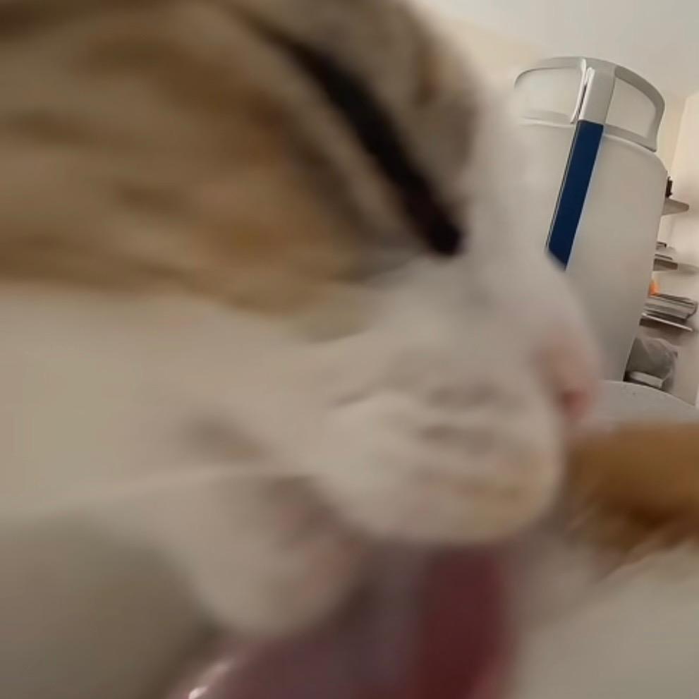 今天想喝可乐嘛？