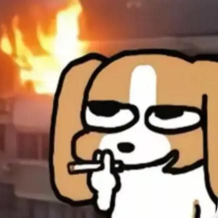 什么时候发视频能两千赞