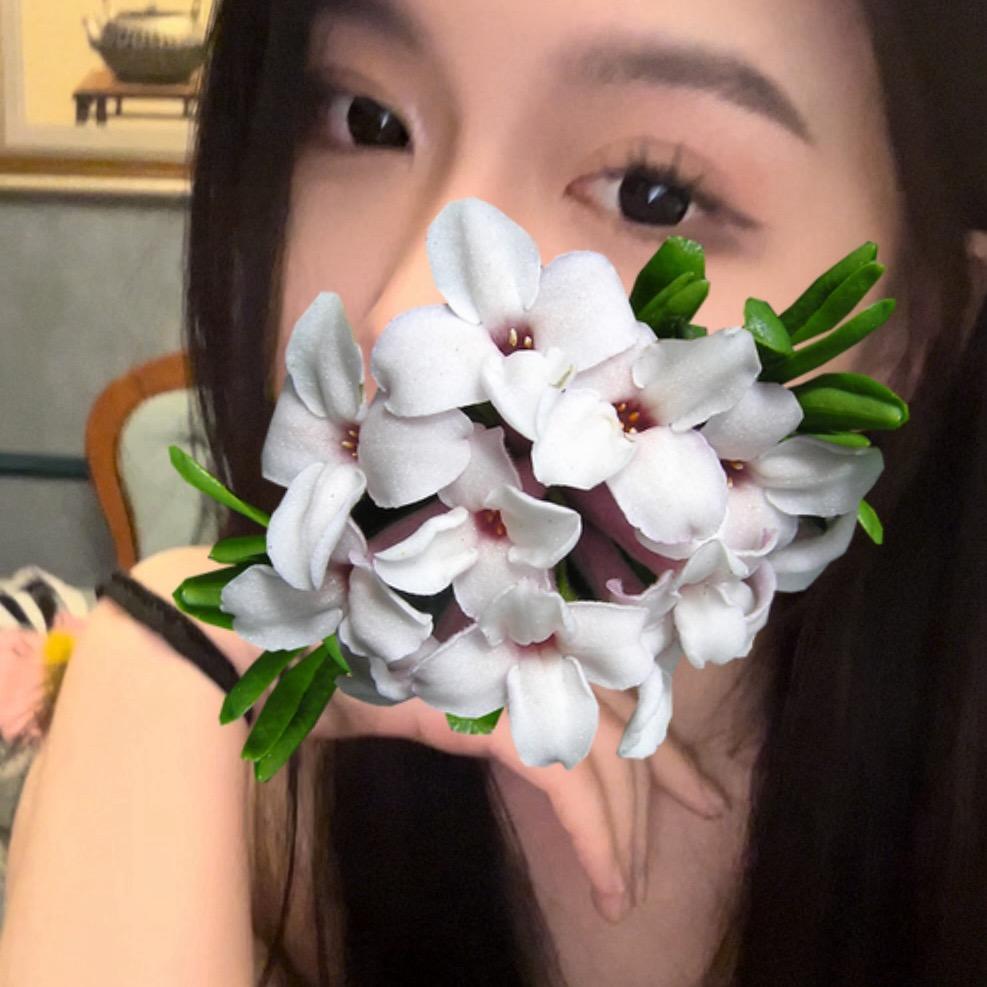 思思Si👑