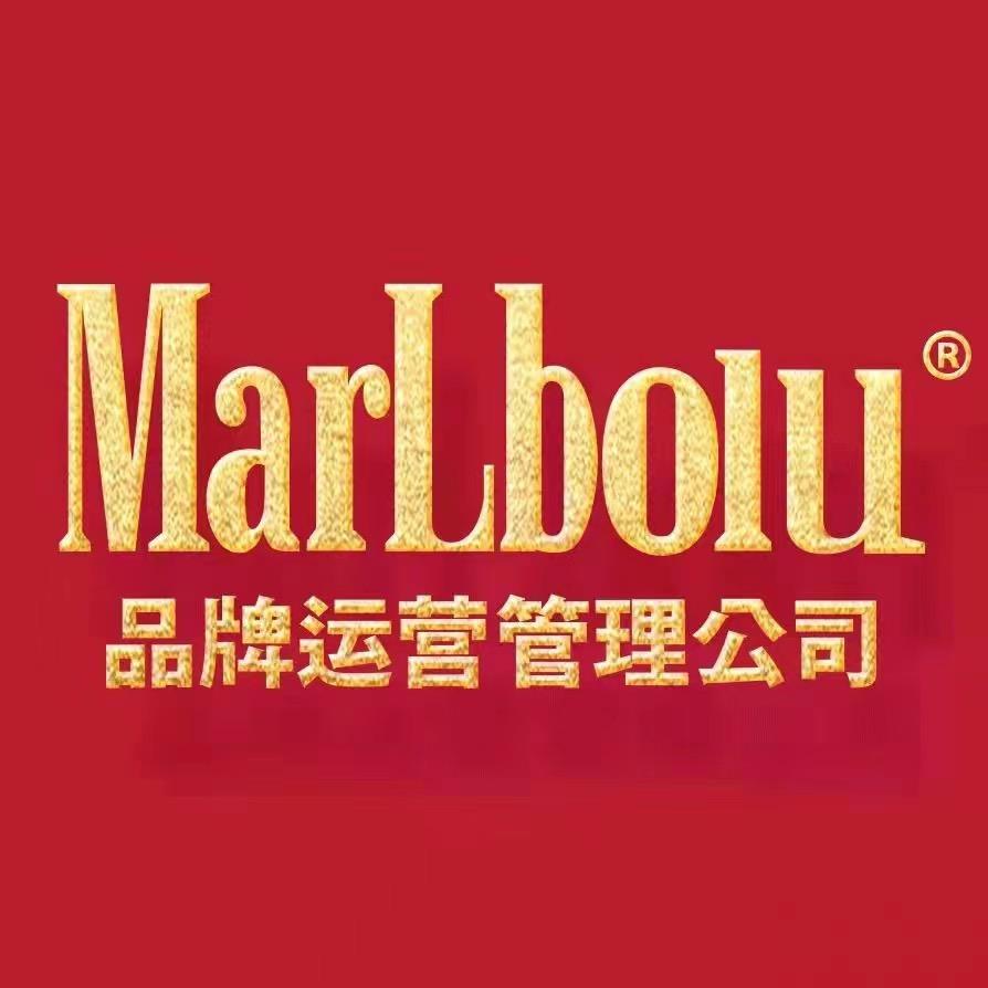 三佳丽休闲零食品牌运营