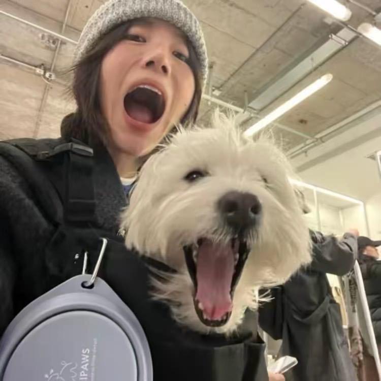 念.