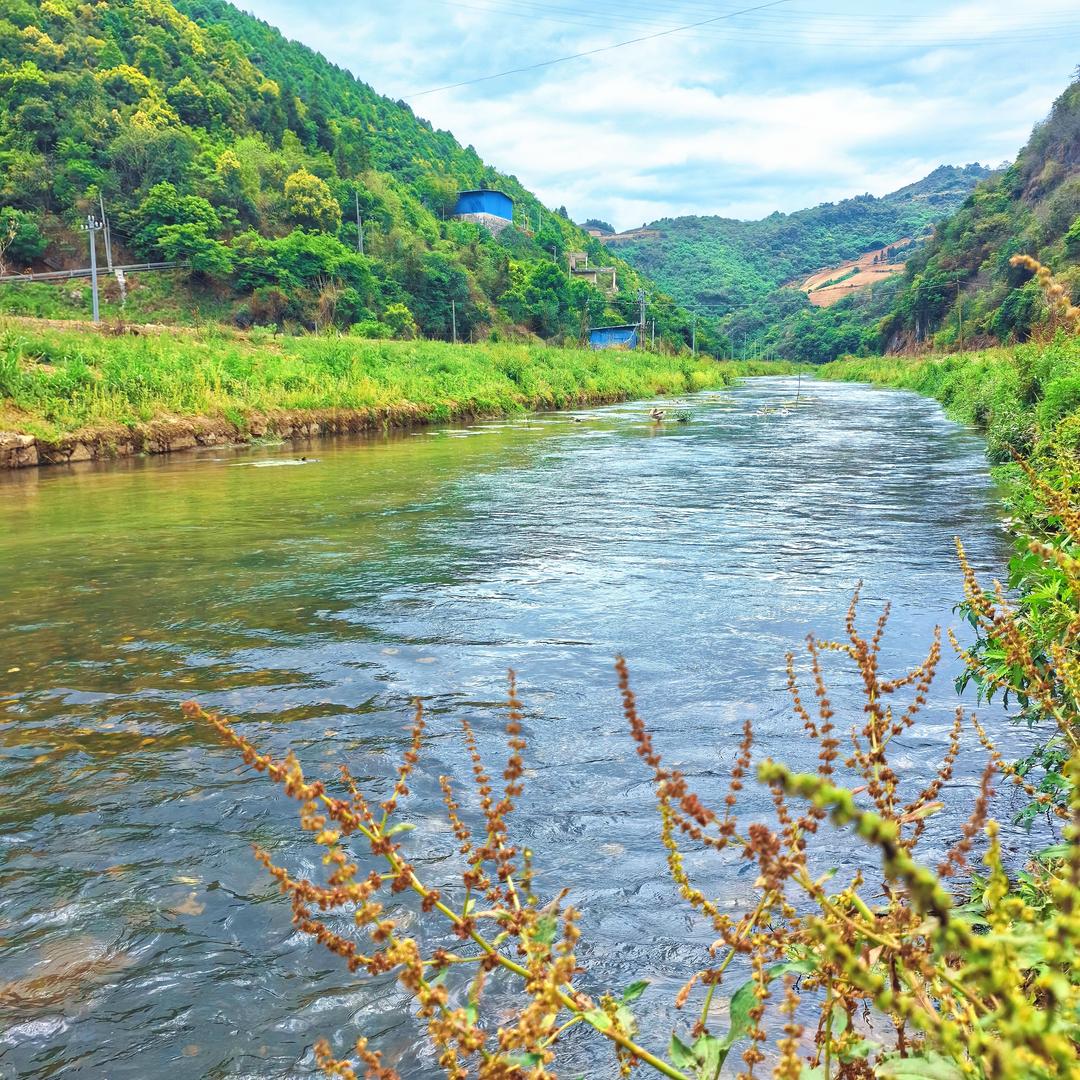 可可妈妈（采姐）