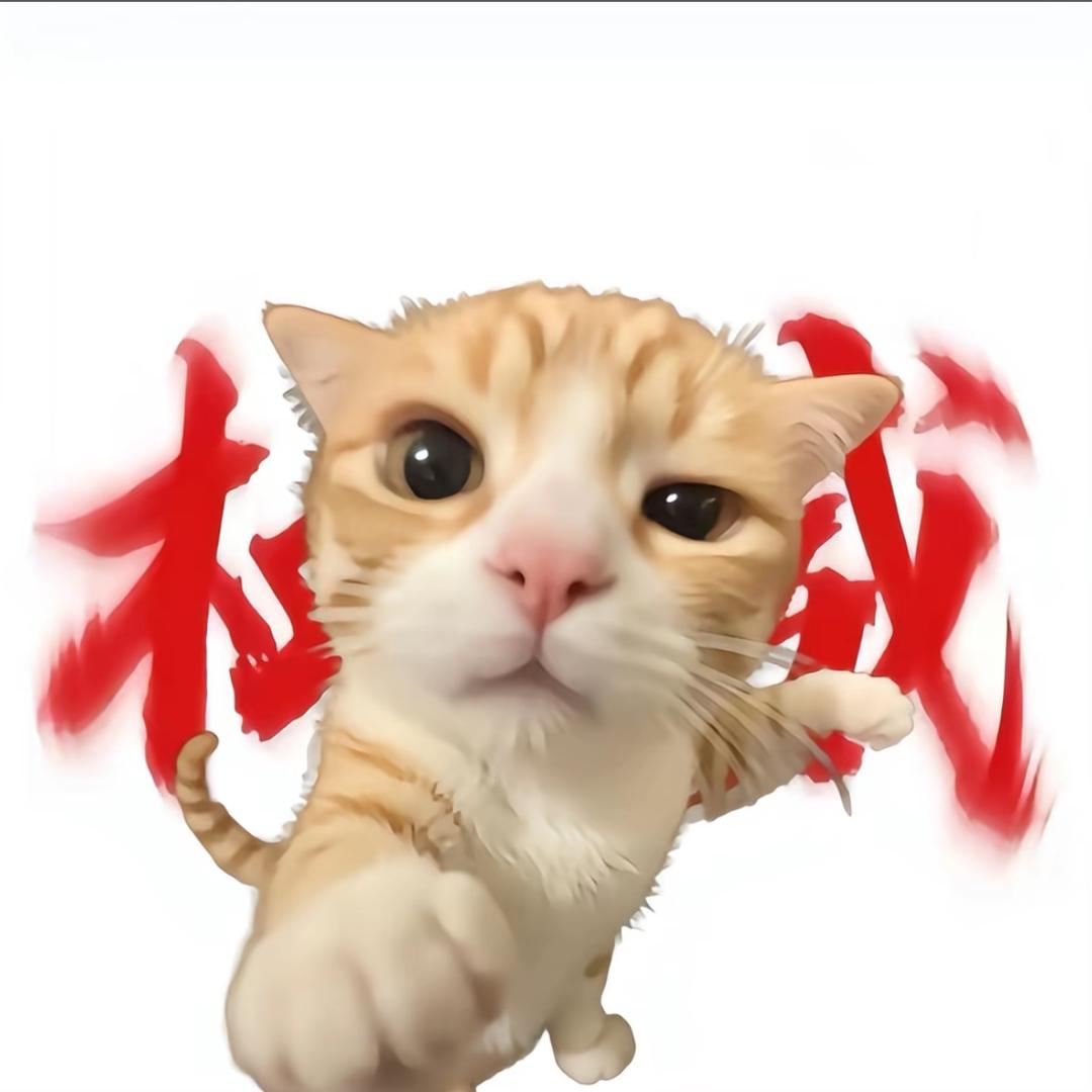 常常因为不够抽象而自卑