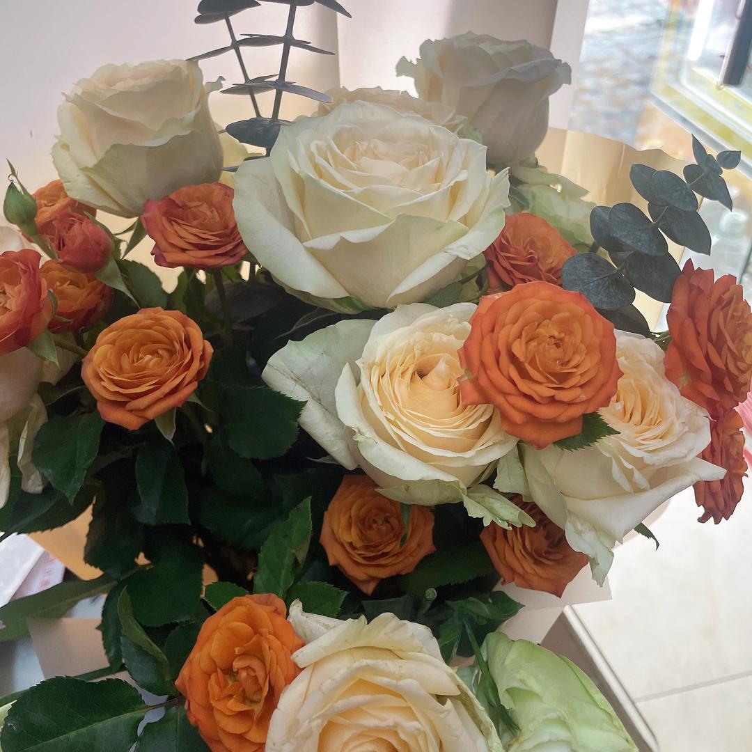 秦群（好运来）