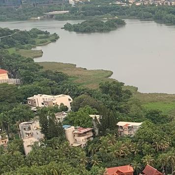 手机维修-陈师傅